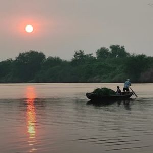 Meet your Posher, Bunga